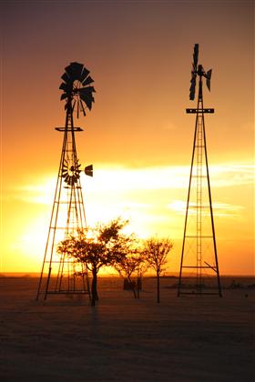 This is a picture of sunset with wind mills